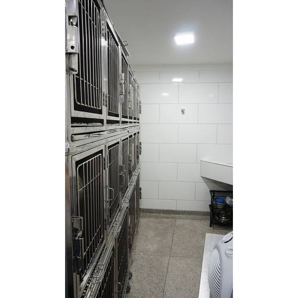 Valores Internação Veterinária em Água Rasa - Hospital para Internar Cães